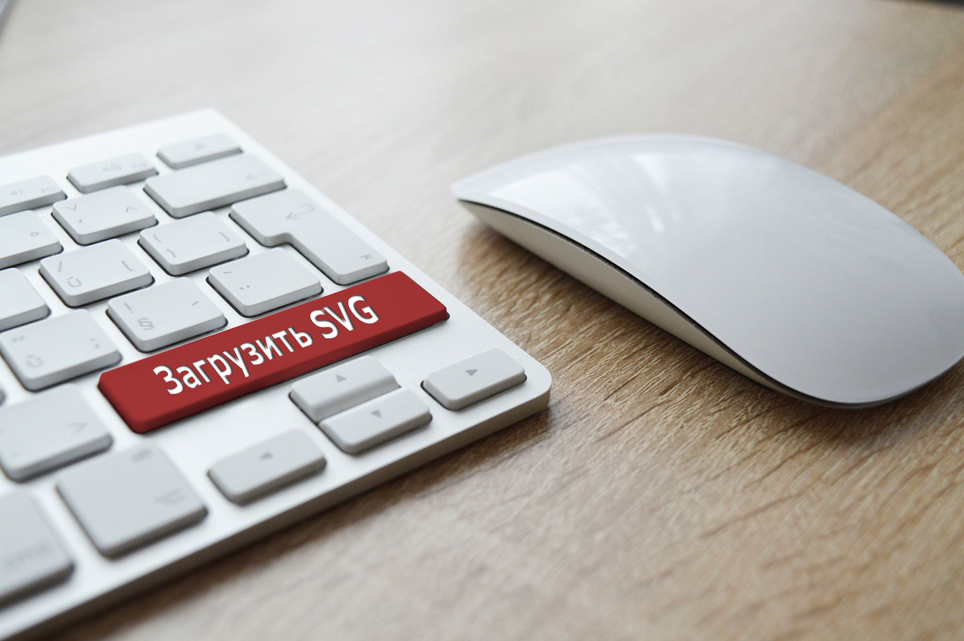 Где можно бесплатно скачать svg иконки для сайта